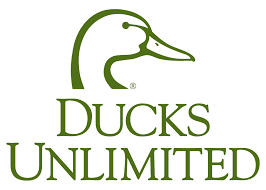 CN Ducks Unlimited